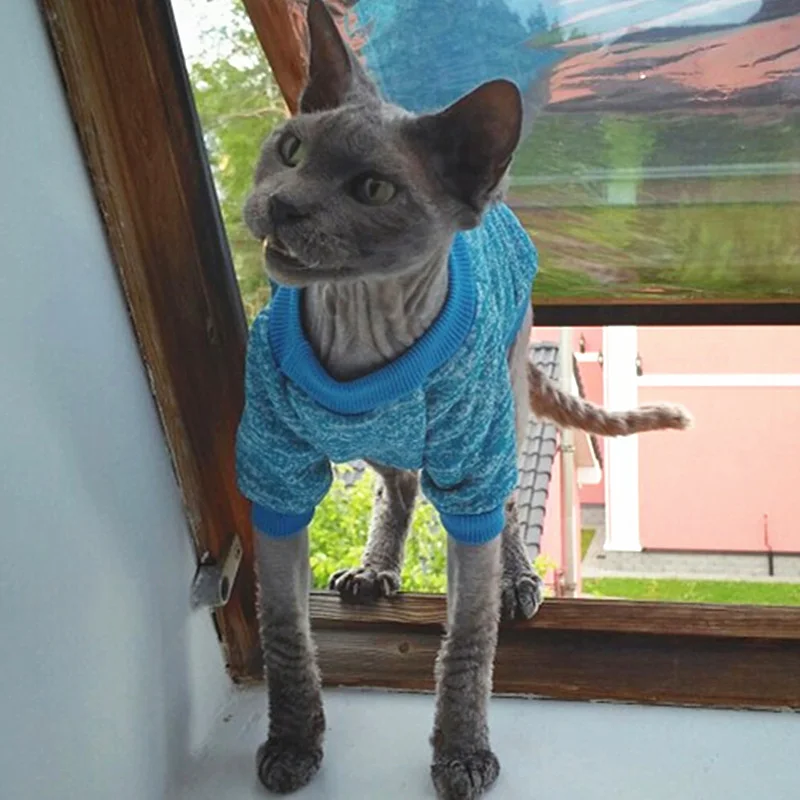 UTB8uHaEXJnJXKJkSaiyq6AhwXXaW_