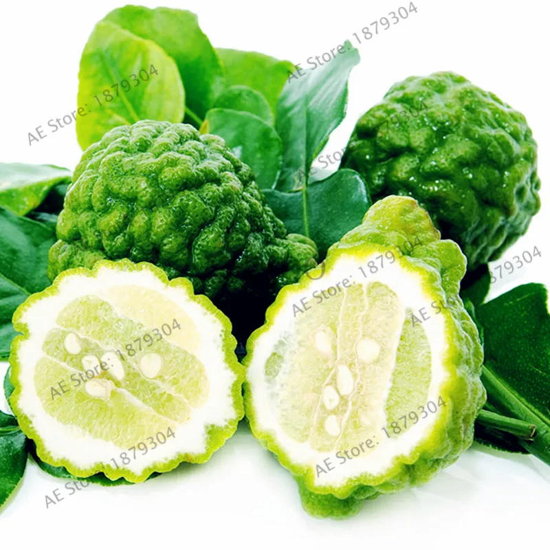 

Key Lime plant,Citrus Aurantifolia flores,bonsai Organic Fruit plantas for Home Garden,easy to grow,50pcs/bag