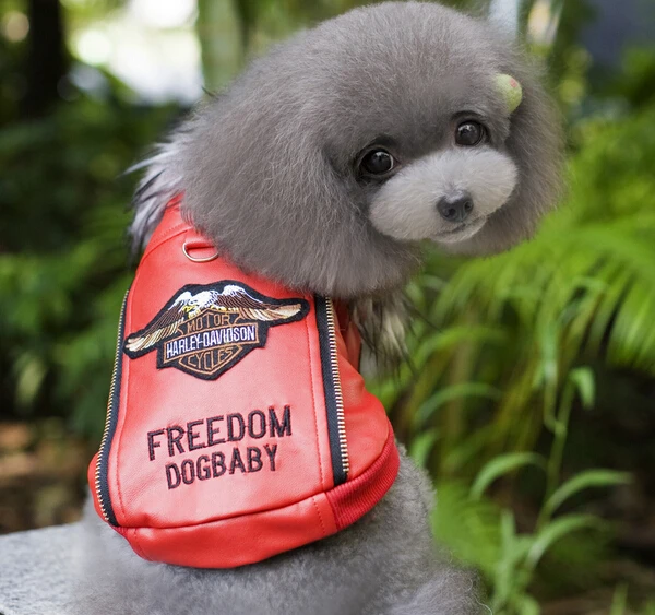 Dogs cats cool handsome leather jackets puppy Eagle embroidery hoodies clothes doggy hoodies costume pet dog clothing coat 10pcs