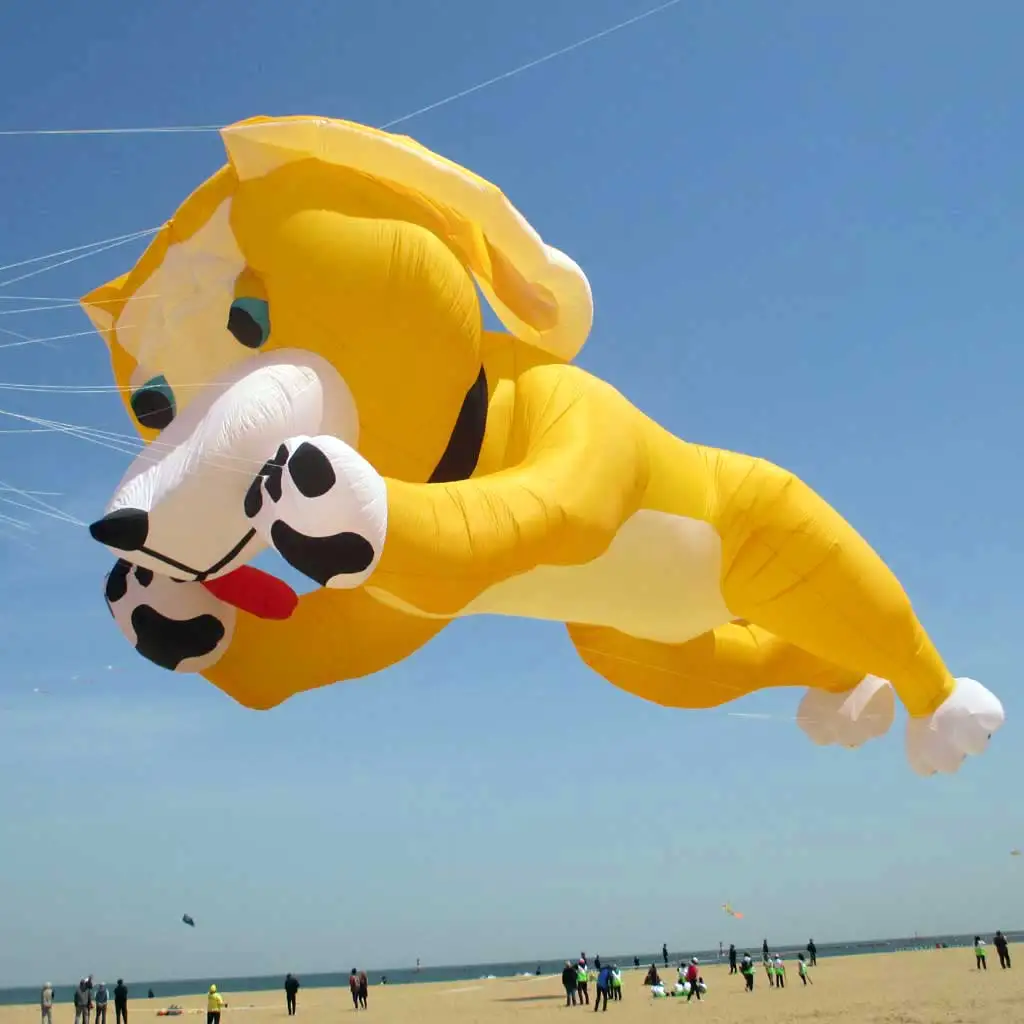 3d windsocks мягкий papalote большой воздушный змей уличная игрушка pipa voadora windsock змеи для