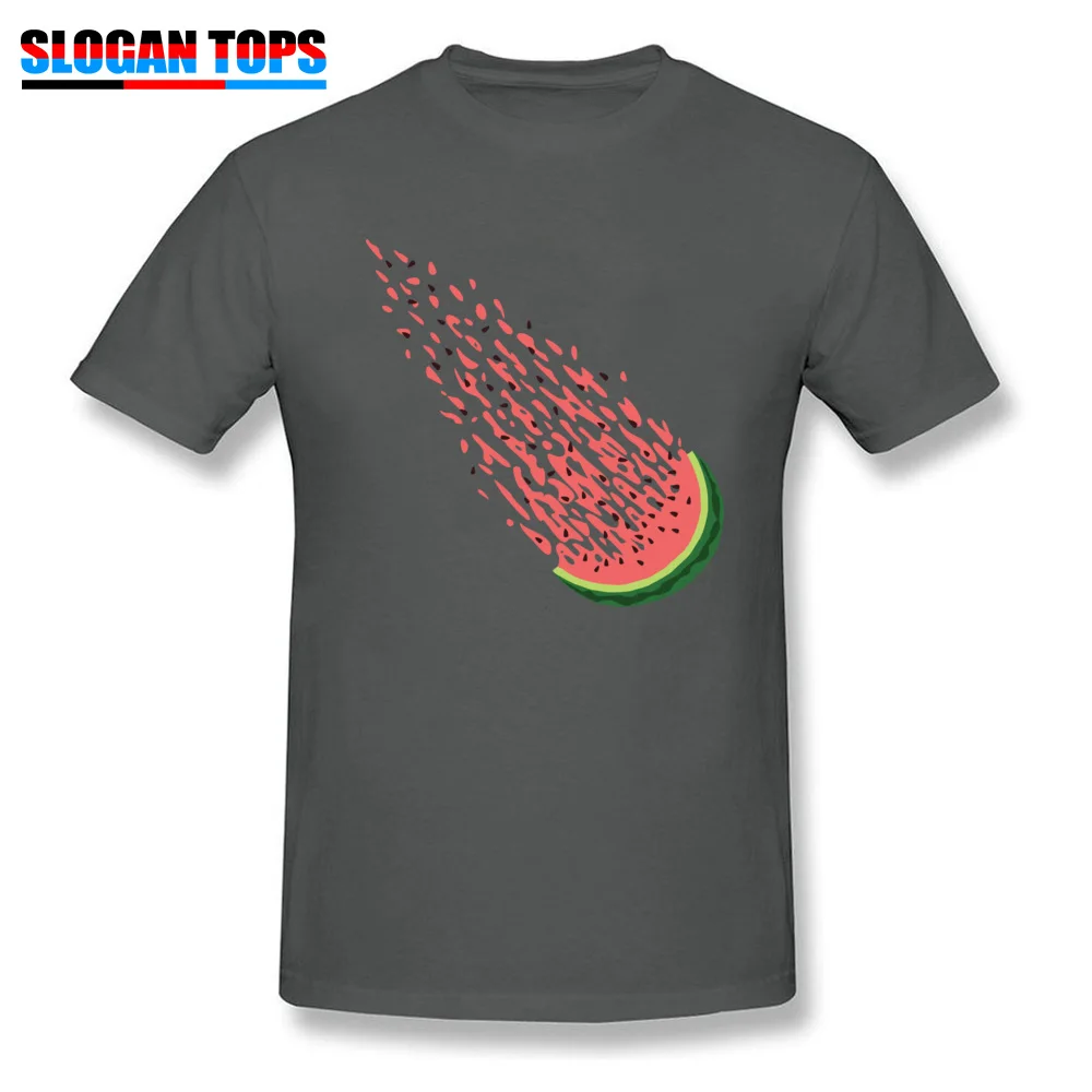 WATERMETEORITE Summer Fall 100% Cotton Crew Neck T Shirt Short Sleeve Simple Style T-Shirt Dominant Design Tshirts WATERMETEORITE carbon