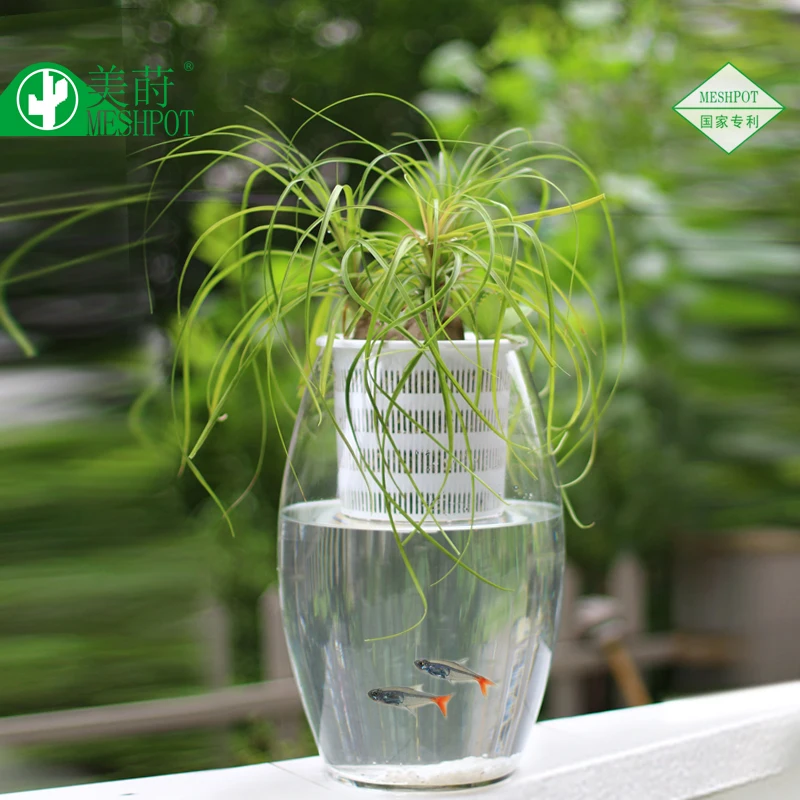 

Hydroponic planting basket Nursery Box