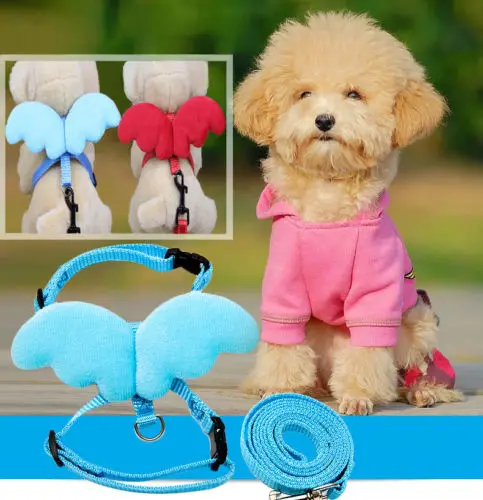 

Trendy Pet Dog Cat Leashes Collars Set Puppy Leads Angel Wing Adjustable Harness