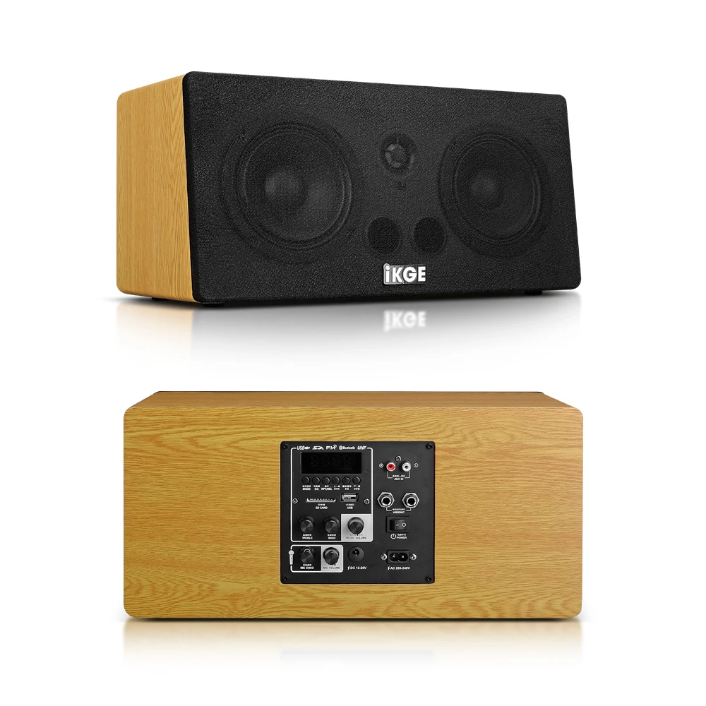 I-200K Speaker with Amplifier Echo UHF Wireless