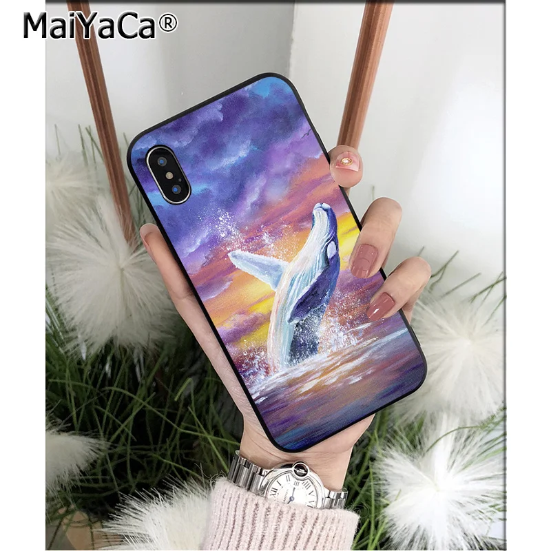 Ocean Whale Animal