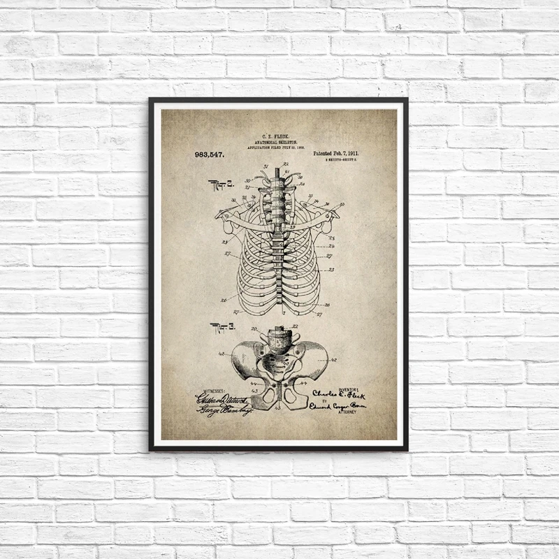 Skeleton Anatomy Canvas Prints