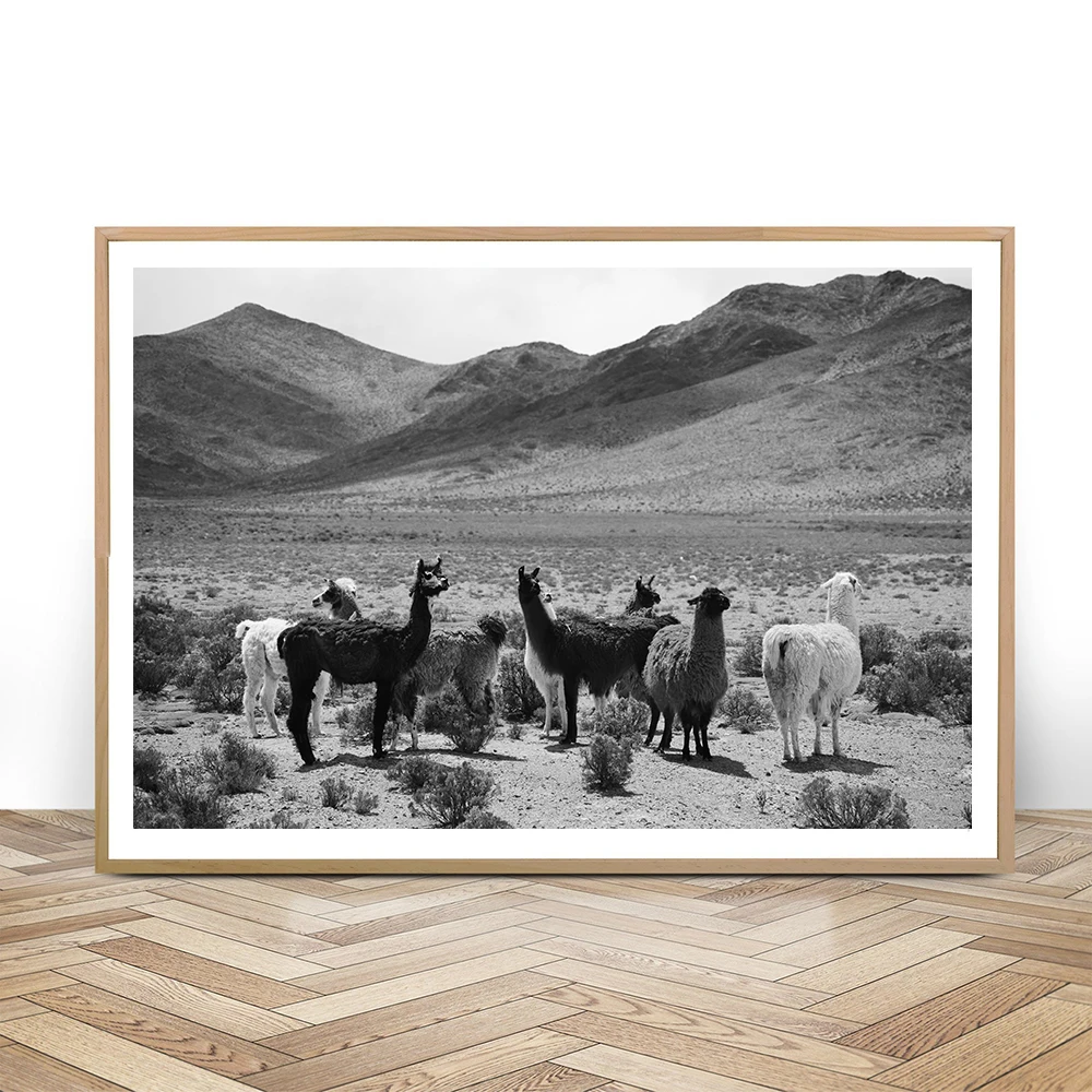 

Llama Wall Art Nordic Alpaca Poster Canvas Animal Nursery Print Painting Decoration Pictures For Living Room Modern Home Decor