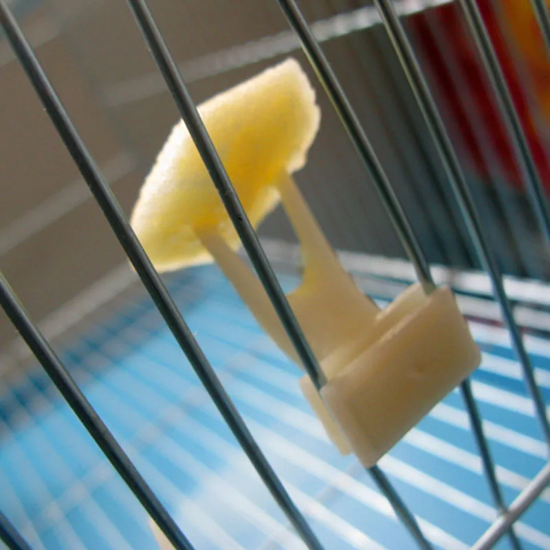 bird cage food holder