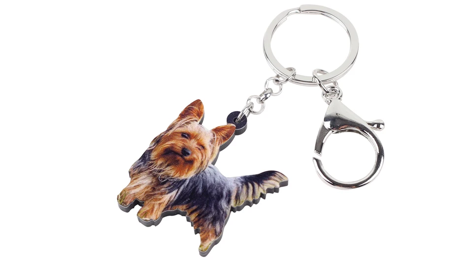 https://ae01.alicdn.com/kf/HTB1kzyYsf5TBuNjSspcq6znGFXak.jpg