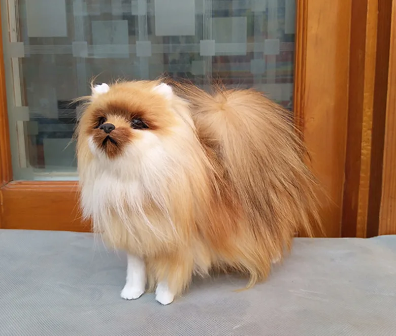 Cerca de 23x20.5x9cm Nova Simulação Brinquedo Polietileno & Peles Cor Natural Pomeranian Boneca Presente 1185 Cão 8 Animais de pelúcia