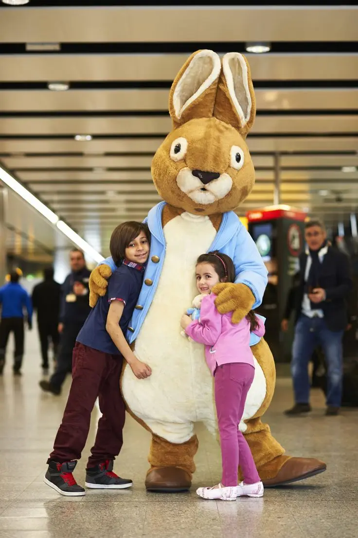 peter rabbit christmas outfit