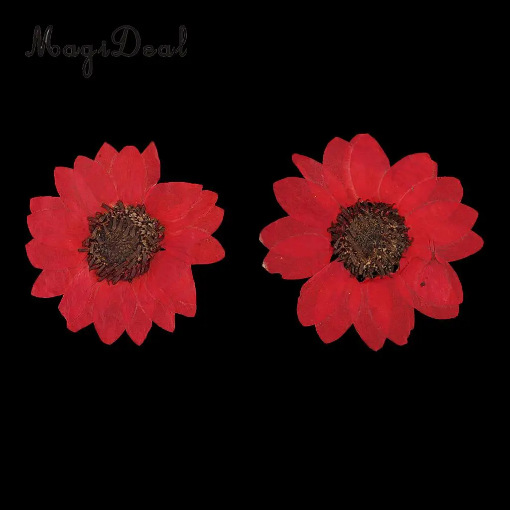 6 Pieces Pressed Natural Real Dried Flowers Sunflower for DIY Resin Ornament Craft Christmas Xmas Card Making Decoration