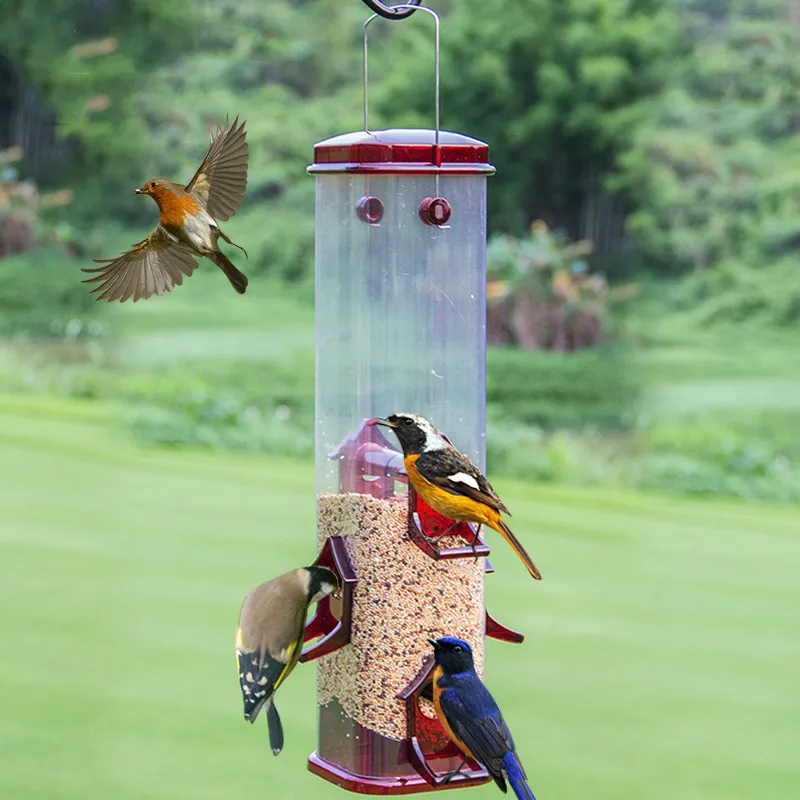 Товары для птиц, Открытый дождь, автоматическая кормушка, балкон, декоративная птица, сорока, руководство для птиц ZP12181900