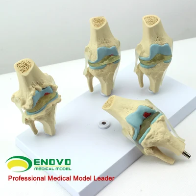 TB2h.tClpXXXXbbXXXXXXXXXXXX_!!631837267.jpg_.webp_400x400