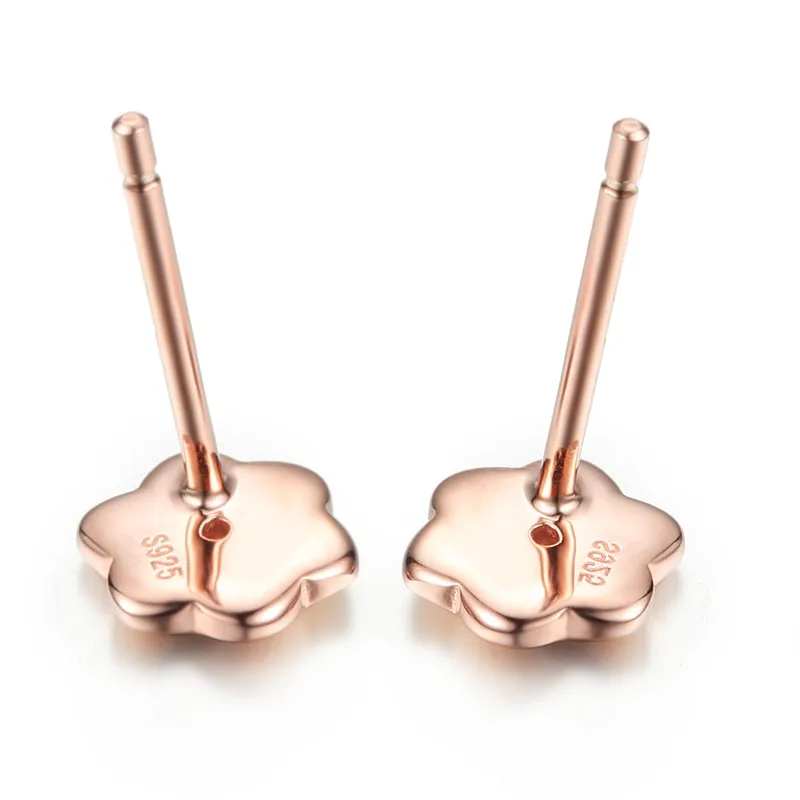 silver earrings CASE04661SA (2)