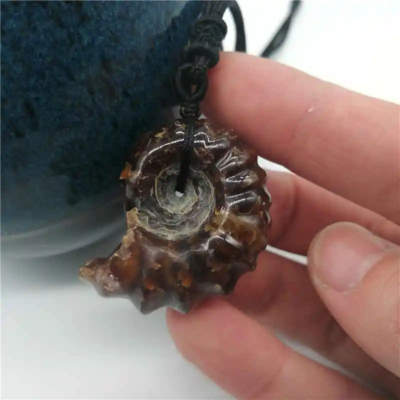 

Natural Ammonite Snail Marine Paleontological Conch Nautiloidea Mineral Specimen Stones pendant