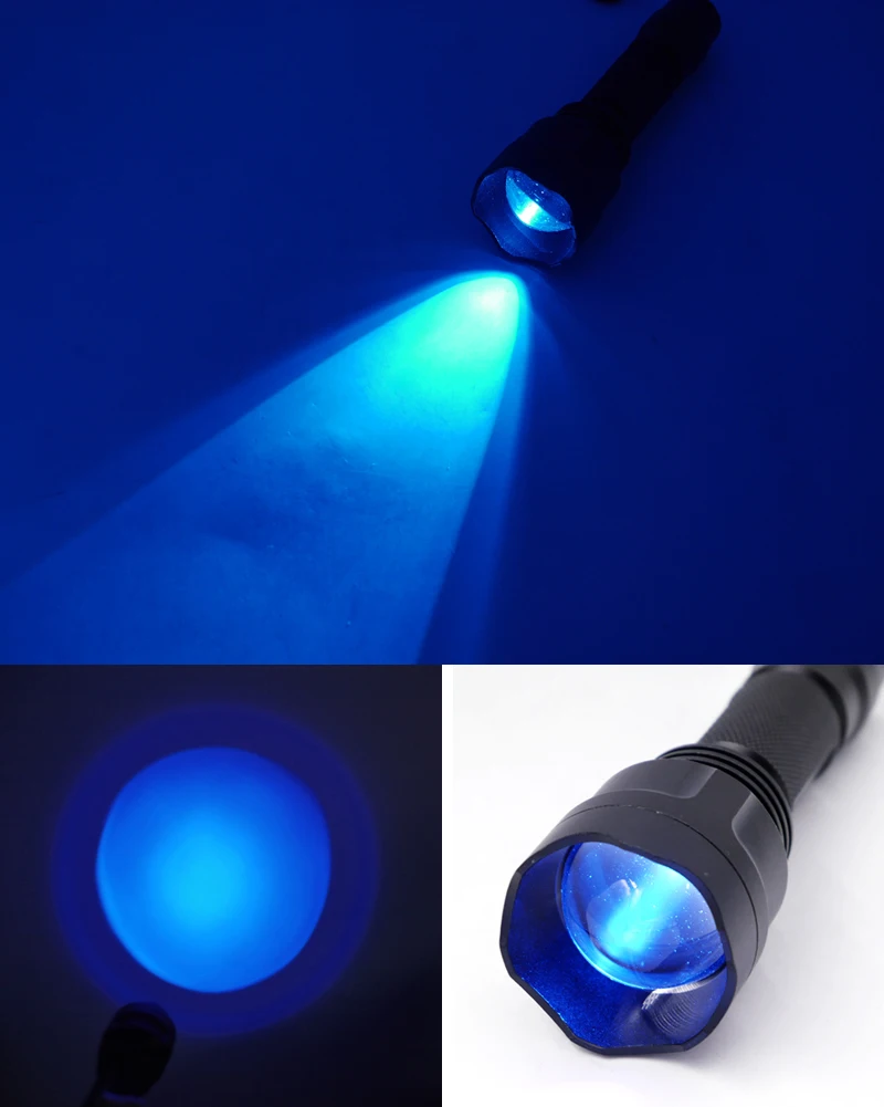 C8s blue light (6)