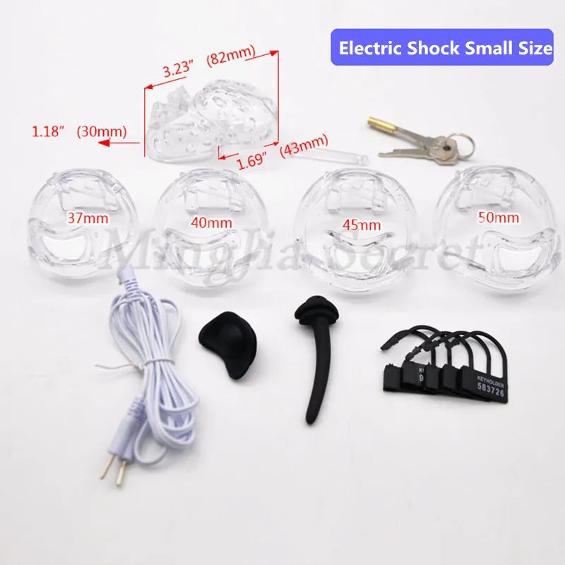 9630784950_159601279