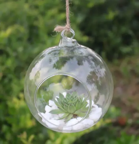 " /4"/" прозрачный настенный цветок стеклянная ваза для растений Аквариум Террариум