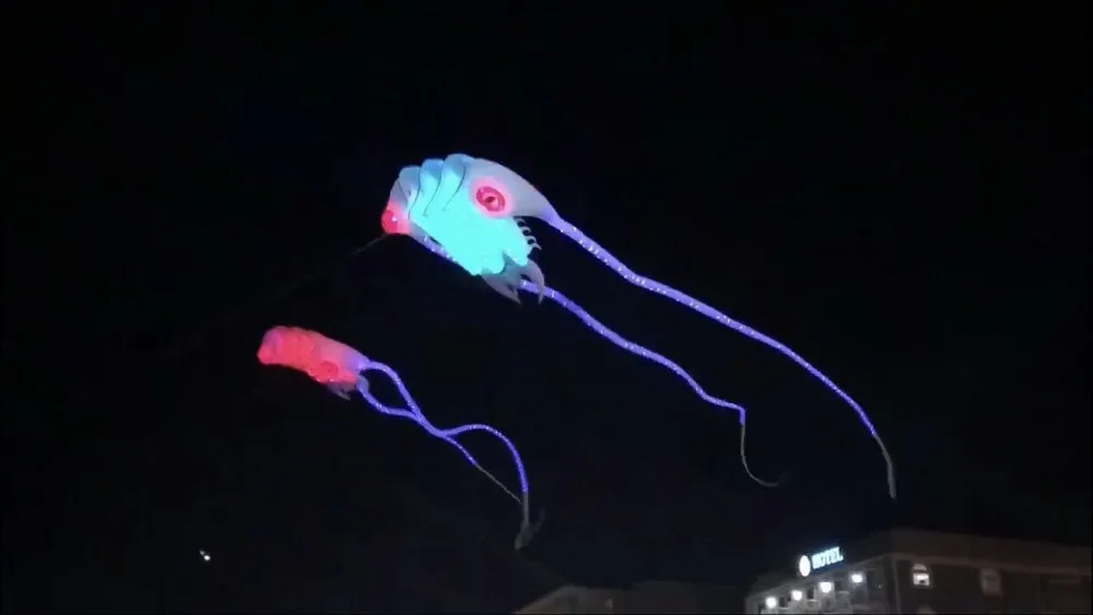 

big kites for adults single line kite ripstop nylon fabric vliegers flying kite weather vane trilobite kite soft pulpo windsock