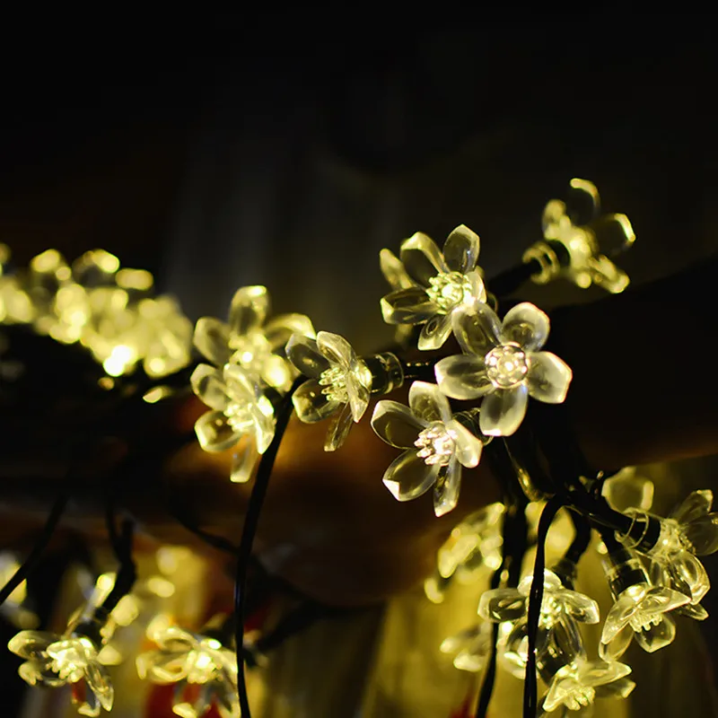 led solar string light  (14)_