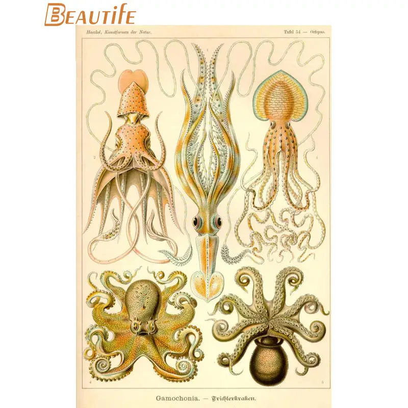 Изготовленный На Заказ энст haeckel Морская жизнь шелковая ткань плакат украшение