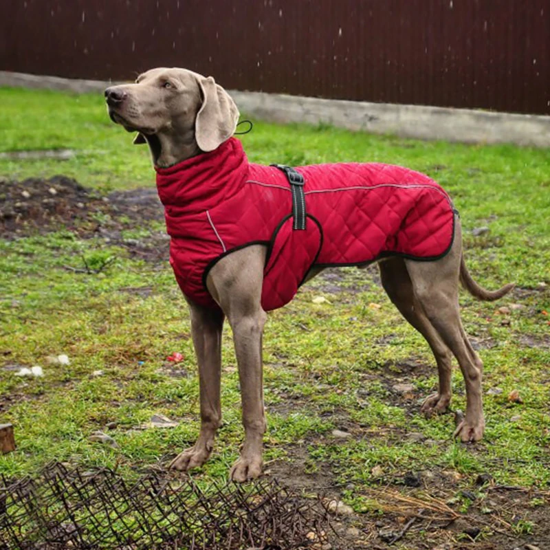 Chaqueta gruesa de invierno para ropa roja para mascotas, abrigo para perros grandes, color venta al por mayor|Abrigos y chaquetas perro| -