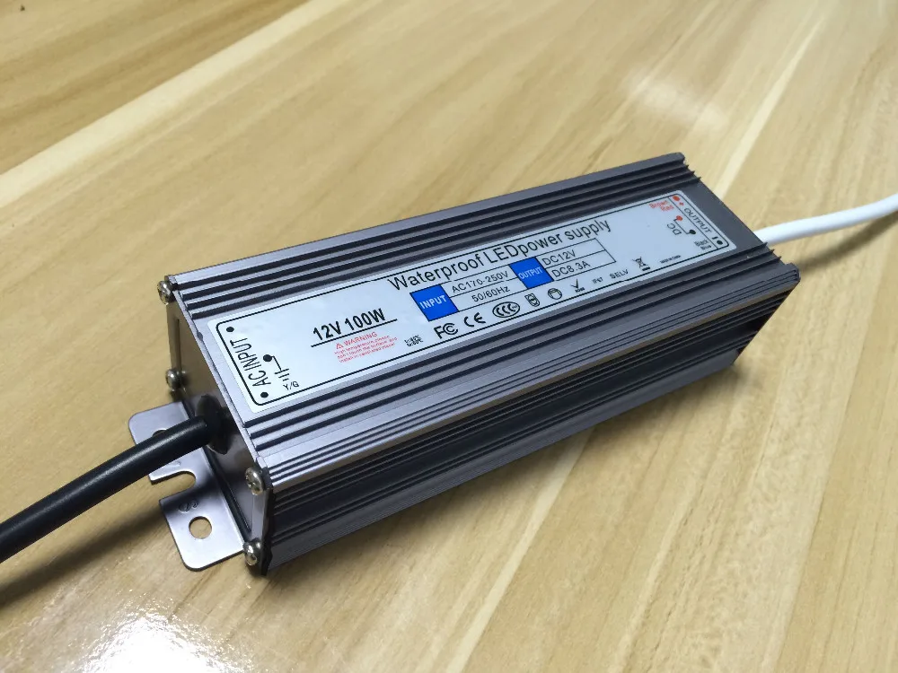 12V100W