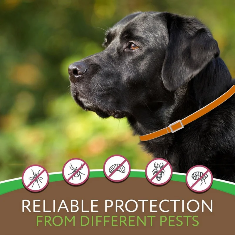 2019 Collar For Dog Mosquito Repellent Flea Treatment Tick Prevention