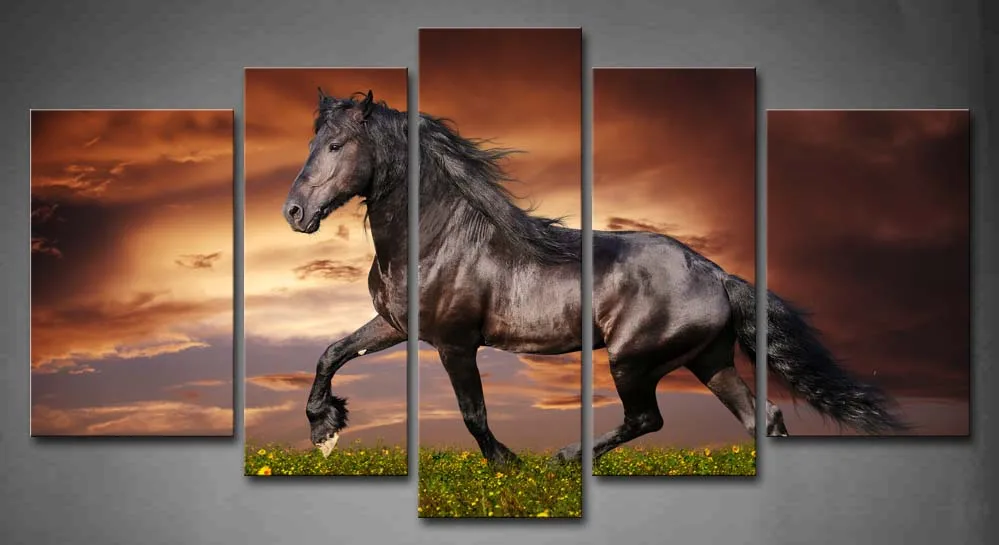 

Framed Wall Art Pictures Horse Field Sunset Flower Canvas Print Animal Modern Posters With Wooden Frames For Living Room