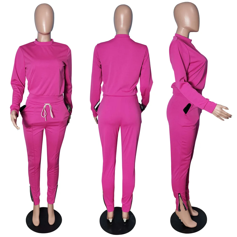 Новинка, Осень-зима, толстовки с длинным рукавом, на молнии, леггинсы, 2 предмета, Женский комплект, Модный повседневный спортивный костюм, комбинезон A8028 - Цвет: Розовый
