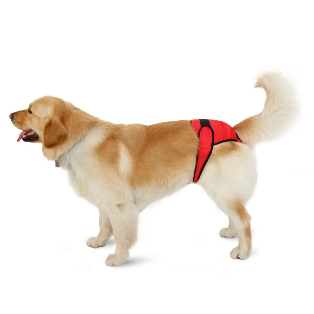 PawzRoad Physiological Dog Diaper Dog Sanitary Pant Briefs for Dogs