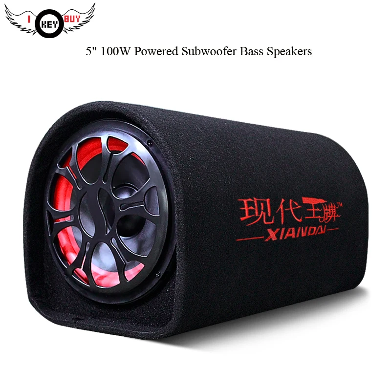 portable 5 inch 12v / 220v car Audio hifi Active booster speakers tube