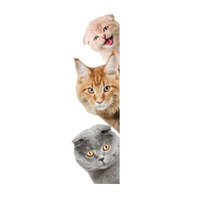 4166121456_717661661.400x400