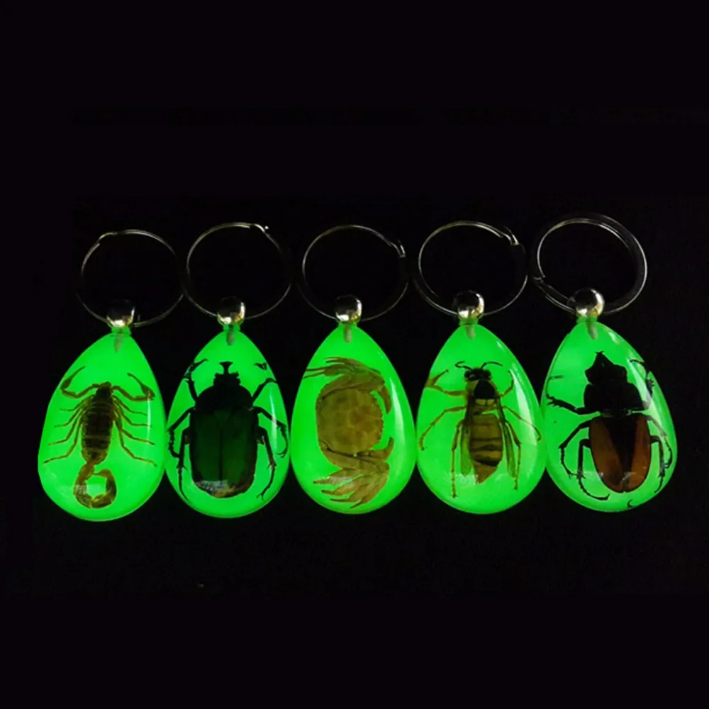 

JAVRICK Trend Natural Glow-in-the-Dark Real Insect Keychain Beetle Animal Specimens Collecting Hot 2018