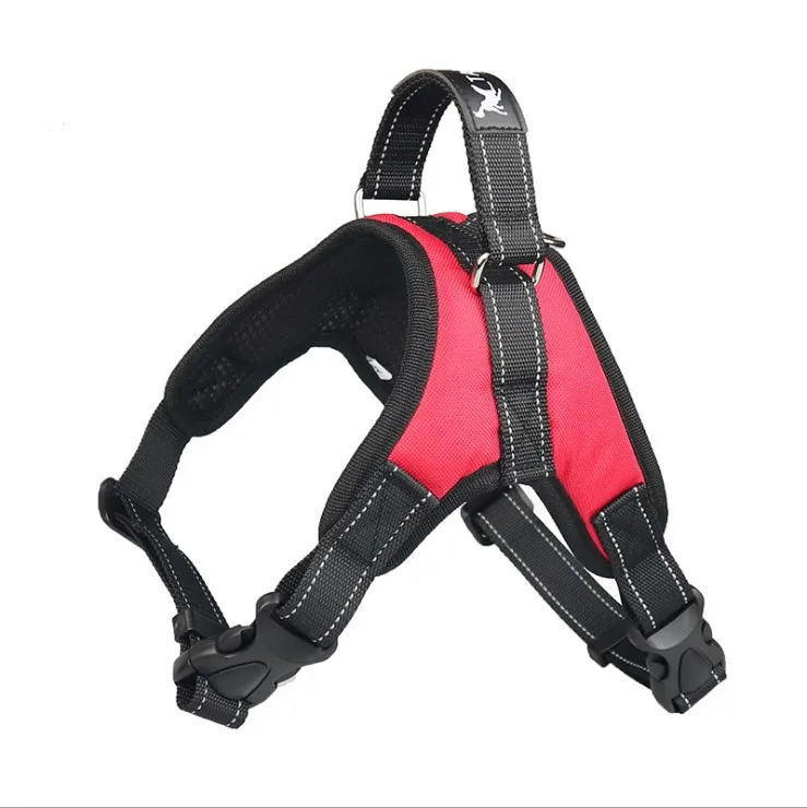

Dropshipping link for dog product