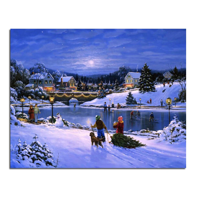 In The Winter Ice Skating Rink 50X40 DIY Square Drill Rhinestone Pasted Painting Cross Stitch Crafts