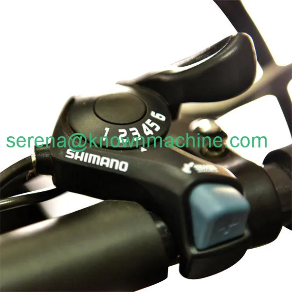 cargo bikes9