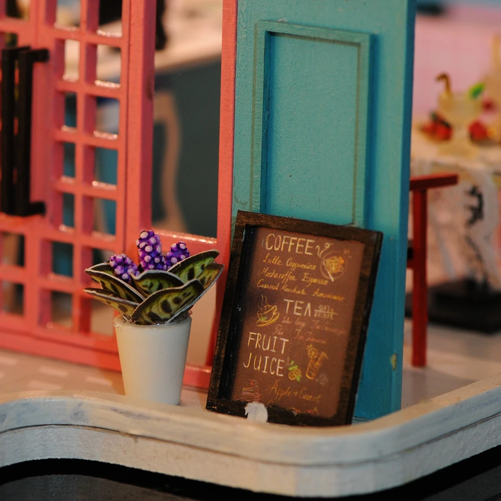 DSC_9204