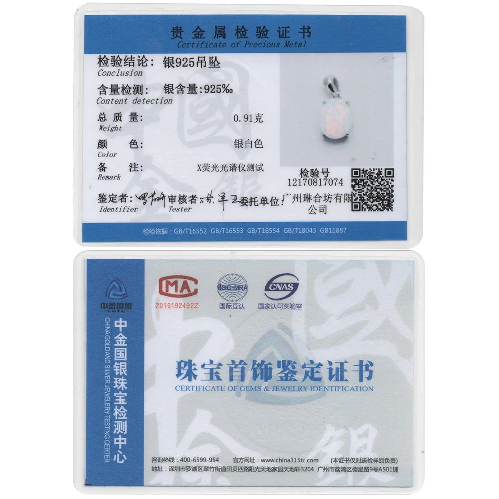 NE101901        12170817074