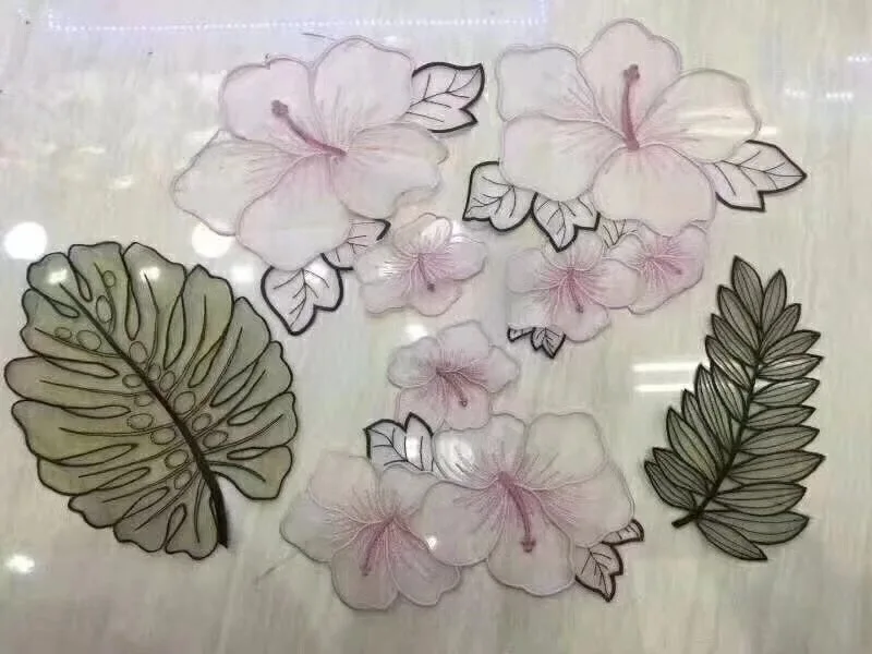 816036483065034629