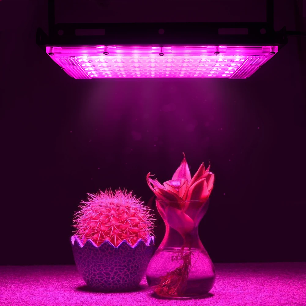 Borbede Led Grow Light 50W Full Spectrum Full Spectrum for Vegetable Flower Indoor Plants Grow Light ?????????