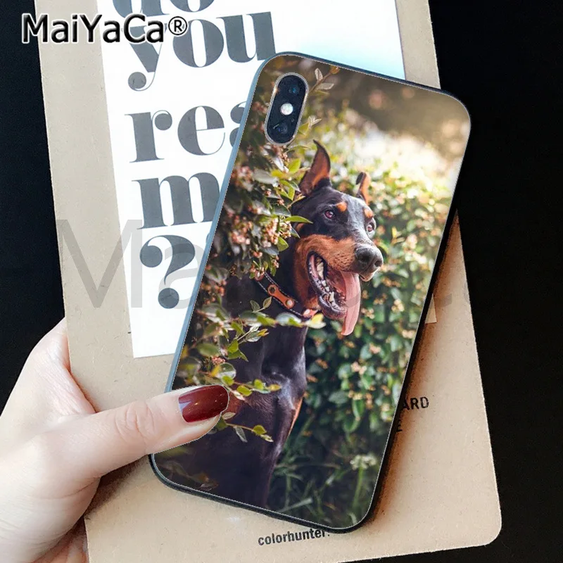 MaiYaCa животное такса собака добермана черный корпус телефона чехол для iphone 11 pro X XS MAX 66S 7 7plus 8 8Plus 5S SE XR - Цвет: A8