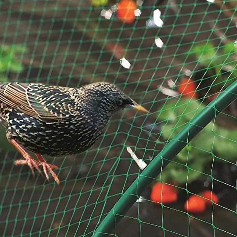 

Anti Bird Netting Plastic Pond Fruit Tree Vegetables Net Protection Crops Flower Garden Mesh Protect
