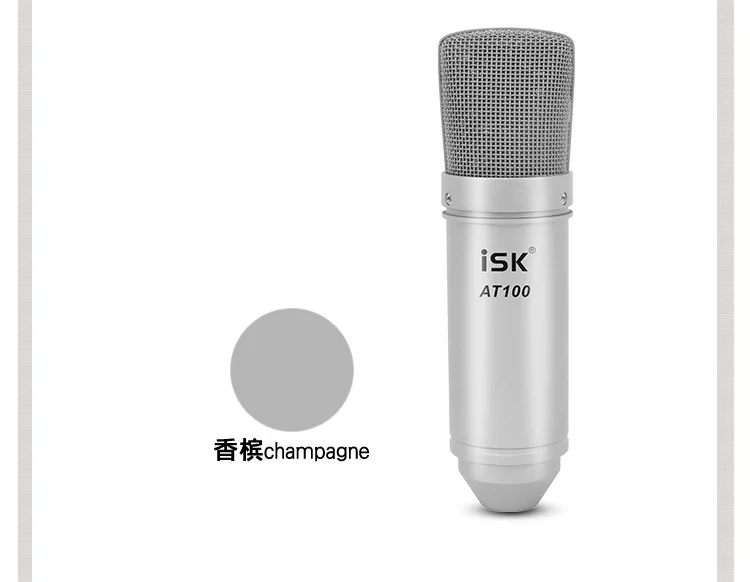 31-microphone