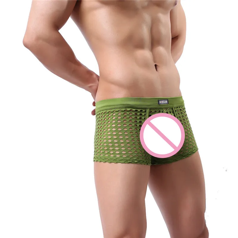 L5 green (1)