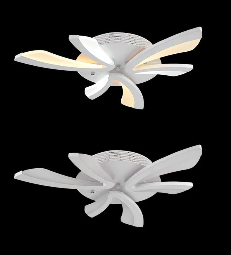 2687525245_1833629700