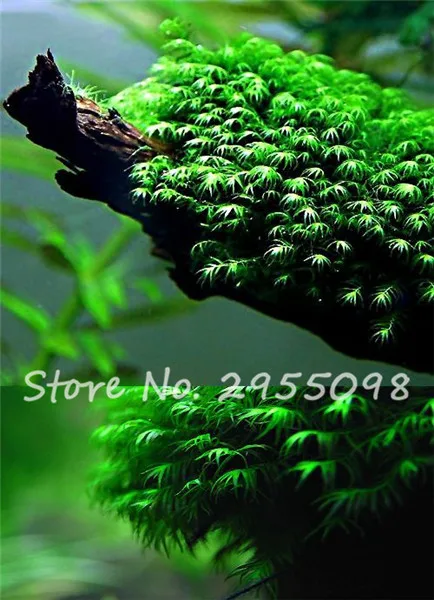 505b8bacf3d5880adfc29e87c7bc94ff