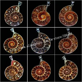 

20Pcs/Lot Natural Ammonite Fossil stone Pendant Beads Wholesale