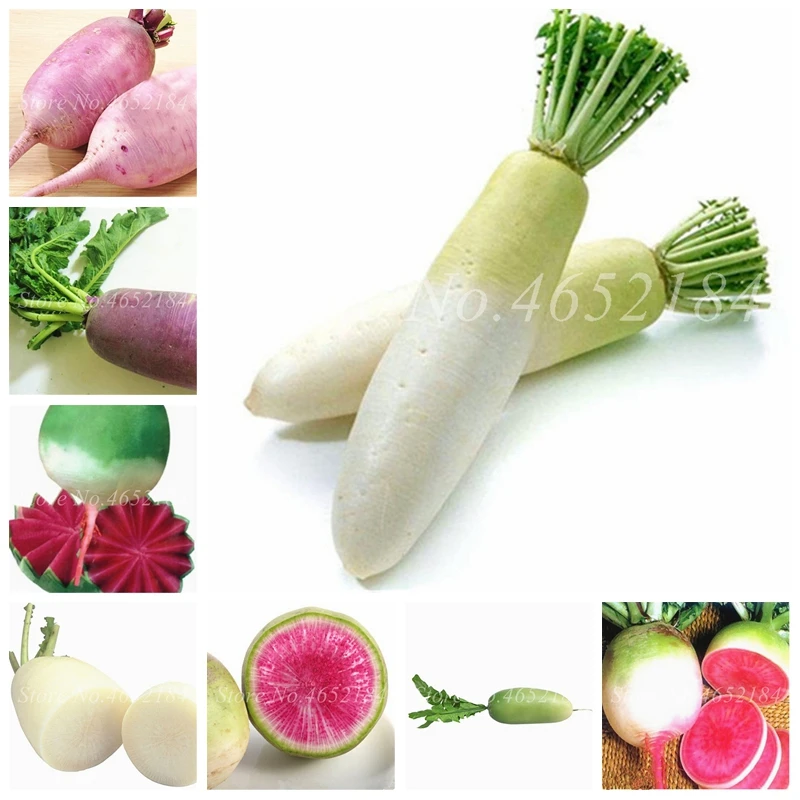 

100 Pcs Rainbow Cherry Radish bonsai Organic Vegetables plants, Strong Adaptability, Rich Nutrition,Bonsai Plant for Home Garden